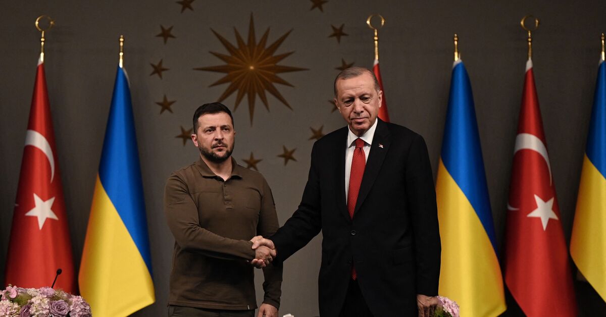 Türk lider Erdoğan Zelenskiy’i ağırladı, Ukrayna’nın NATO üyeliğini ‘hak ettiğini’ söyledi