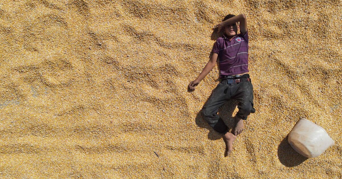 From Egypt to Iran, heatwave compounds Middle East electricity problems, climate change burdens - Vimarsana News