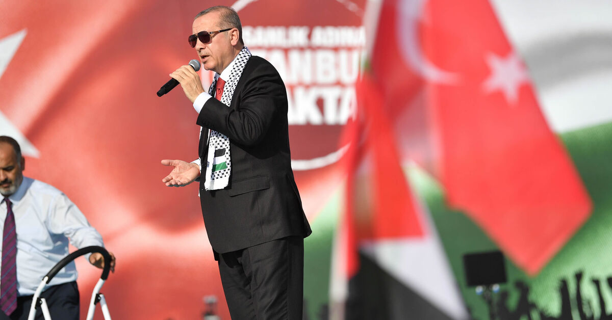 Turkey's Erdogan strikes moderate stance as Israel-Hamas war rages - Vimarsana News