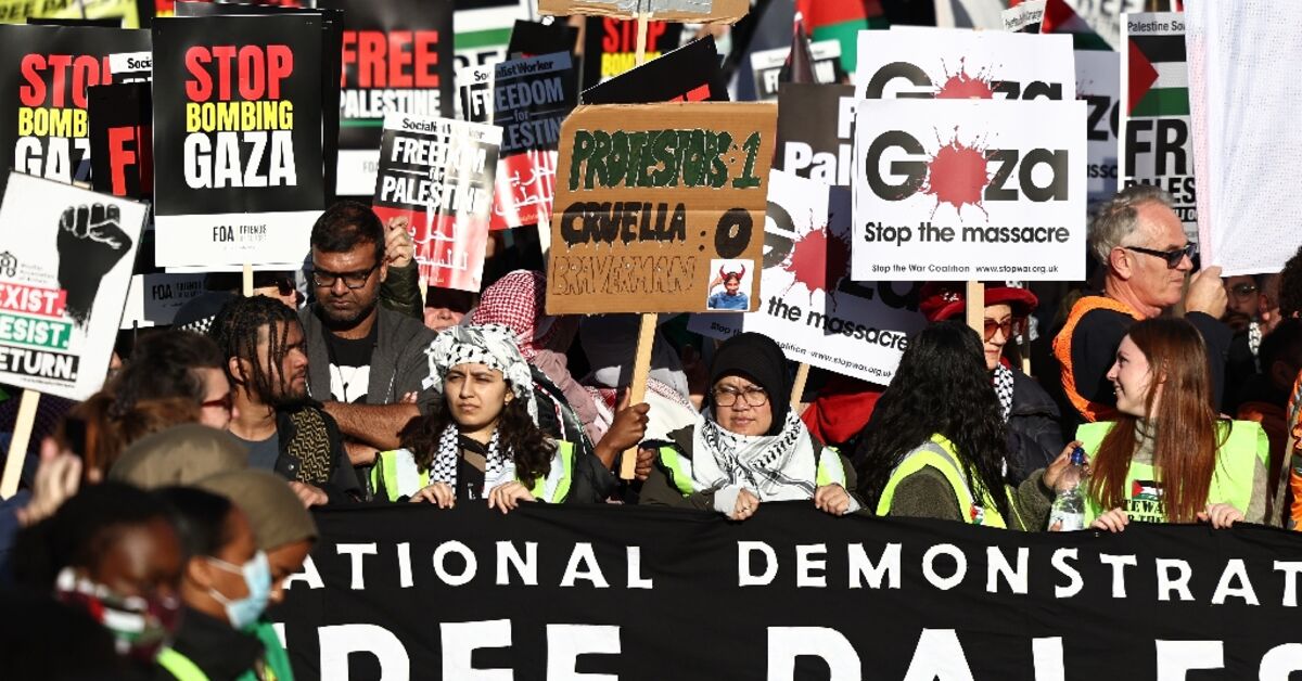 300,000 stage Armistice Day pro-Palestinian rally in London - Vimarsana News