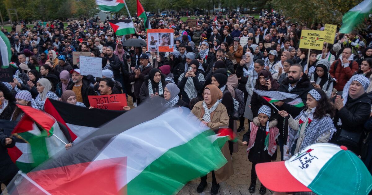 Live Updates: Gaza death toll passes 9,000 as Germany bans Hamas 'completely' - Vimarsana News