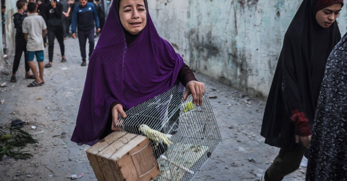 Entire families 'wiped out' as war rages in Gaza - AL-MONITOR: The ...