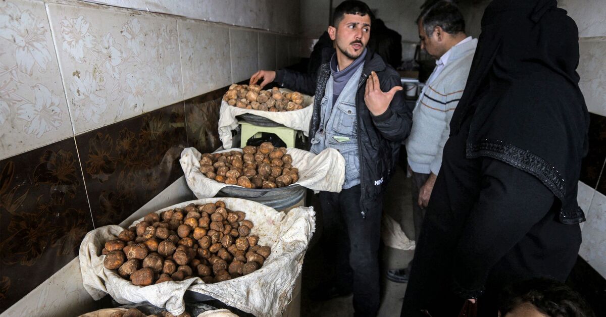 ISIS kills 11 truffle hunters in Syria - Vimarsana News