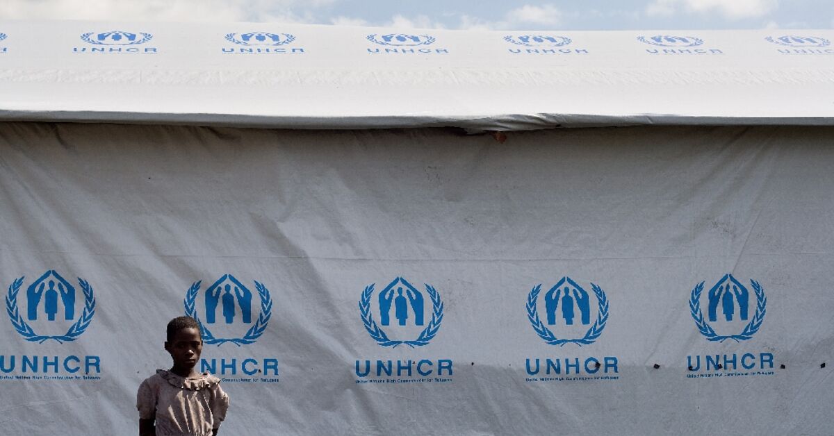 UN Reports 117 Million Forcibly Displaced on World Refugee Day