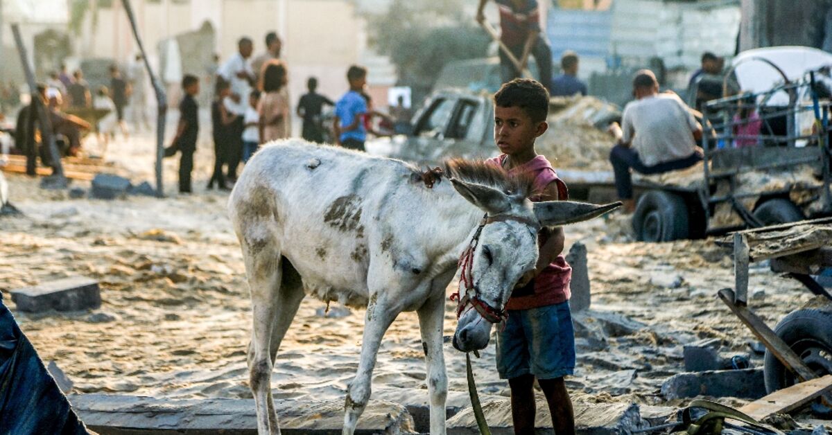 Gaza famine warning as Israel resists ceasefire calls - AL-MONITOR: The ...