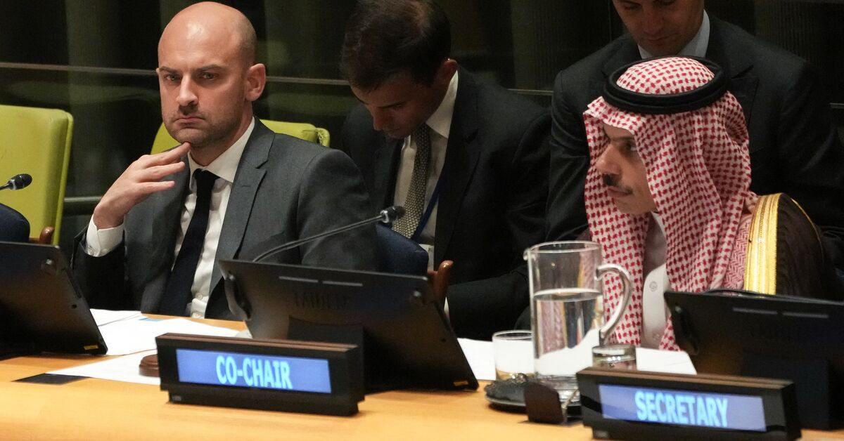 Pa Riyadh US calls Saudi-French UN conference on Palestine ‘publicity stunt’ as ...