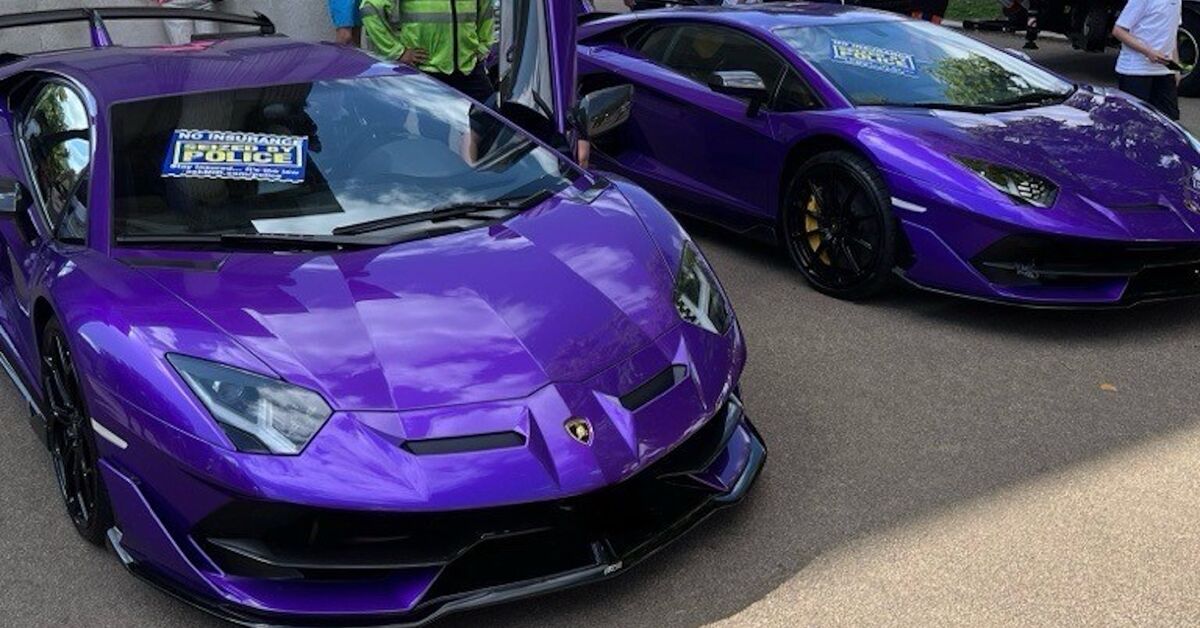 purplelambos.jpg?h=1d34674f&