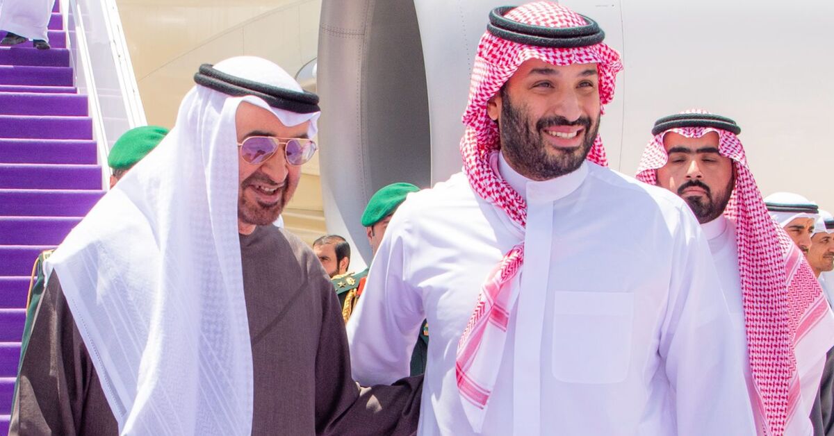 UAE president meets Saudi crown prince ahead of UN Palestine conference ...