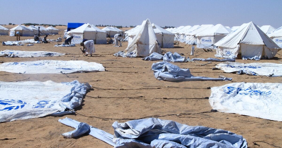 Sudan's displaced and exhausted doctors treat fellow El-Fasher survivors