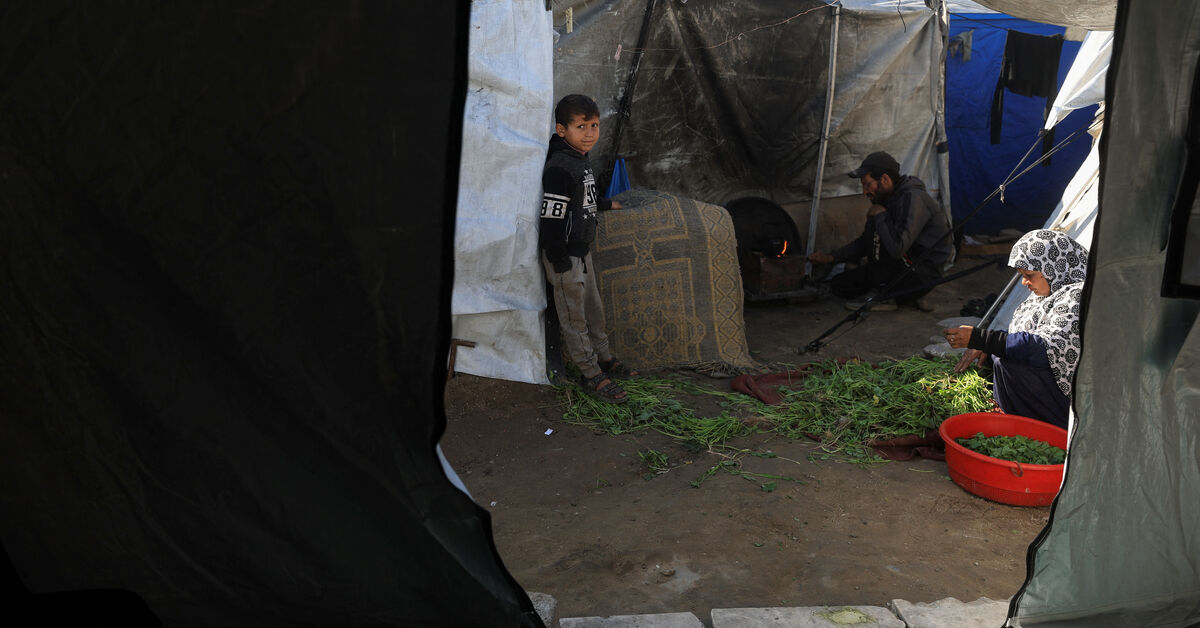 US pitches 'New Gaza' development plan; Israeli fire kills five Palestinians