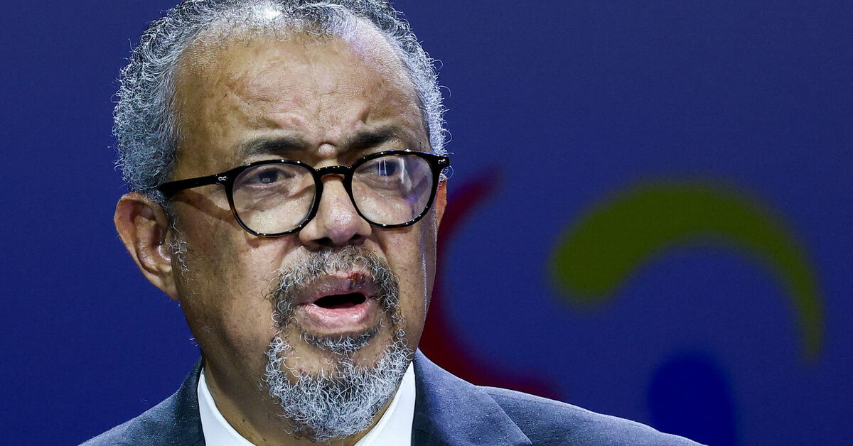 WHO-Chef Tedros: 12 Tote bei Angriff auf Gesundheitszentrum im Libanon