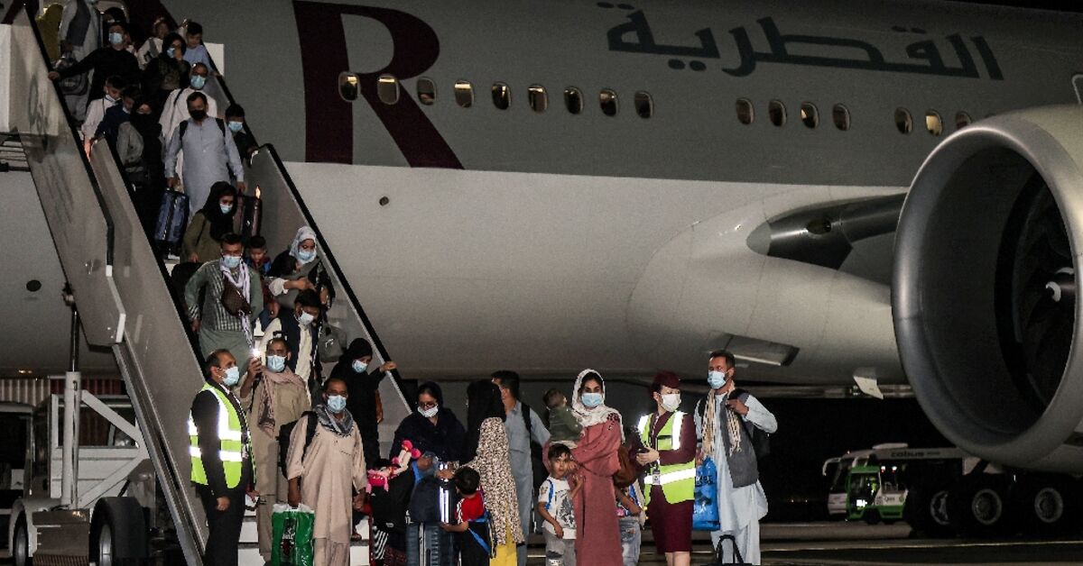 US tells Afghans to choose Taliban home or DR Congo: activist