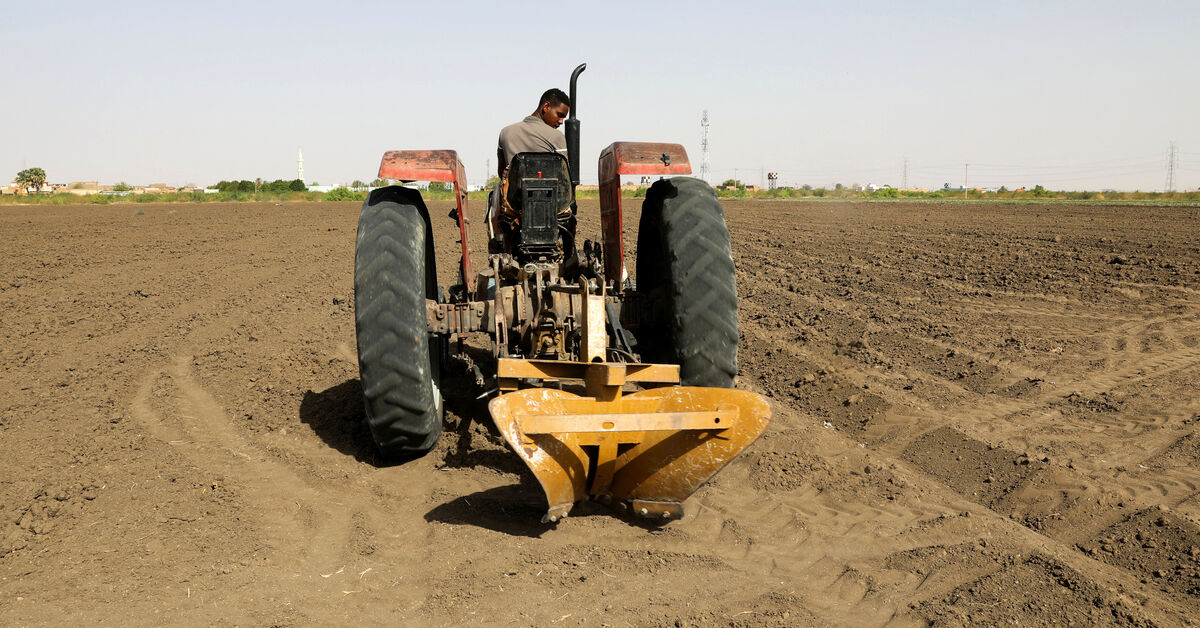 Iran war poses new threat to harvests in hunger-stricken Sudan