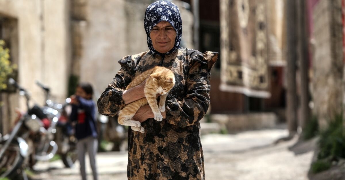 In south Syria, families fear for relatives seized by Israel