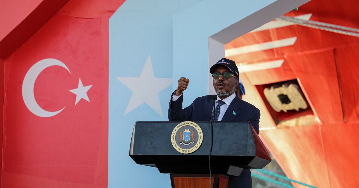 Turkish jets strike al-Shabab targets in Somalia: What to know