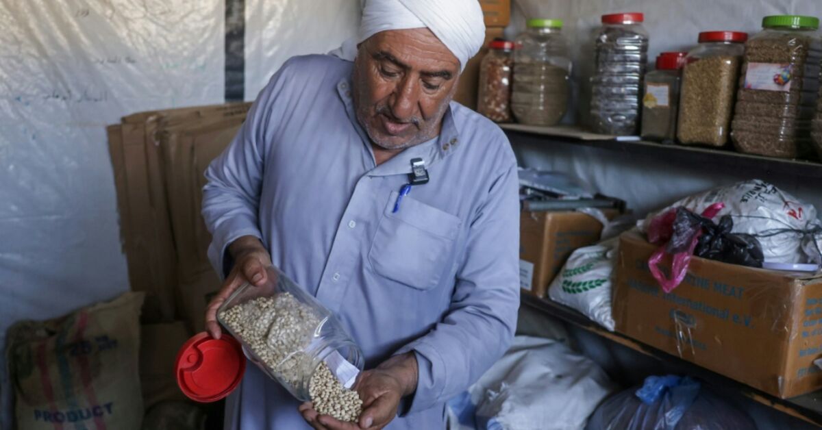 Gaza seed bank restores local crop varieties after war destruction