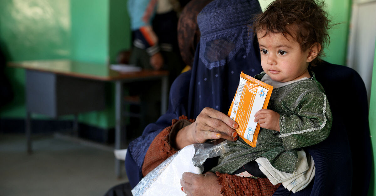 Afghan child malnutrition surges as aid cuts force clinics to turn families away, WFP says 