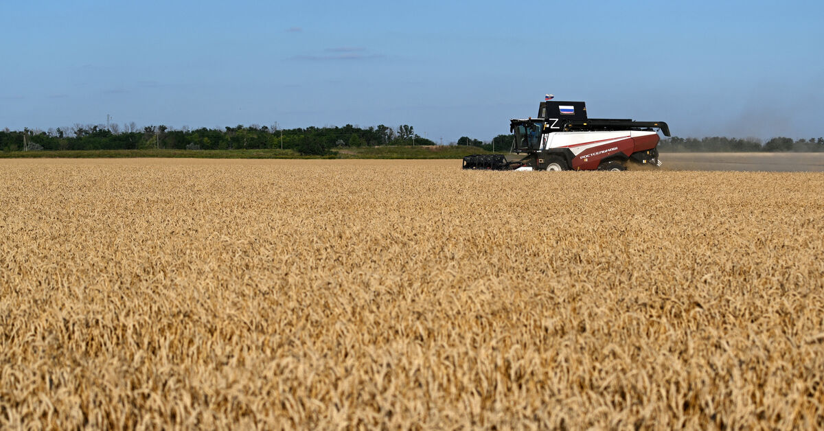 Analysis-Decades of farm gains, inventories strengthen food system against 'super' El Nino