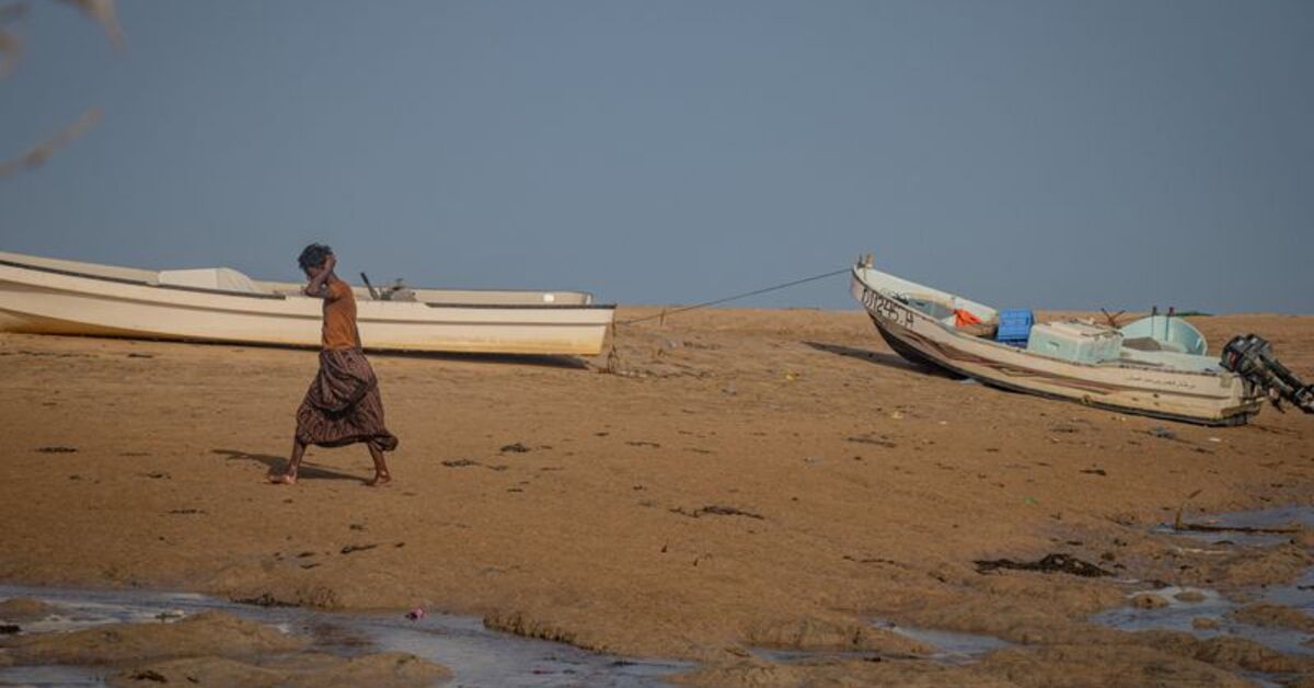 Yemen conflict displaces 112,000 people inside country, thousands flee to Djibouti, UN migration agency says