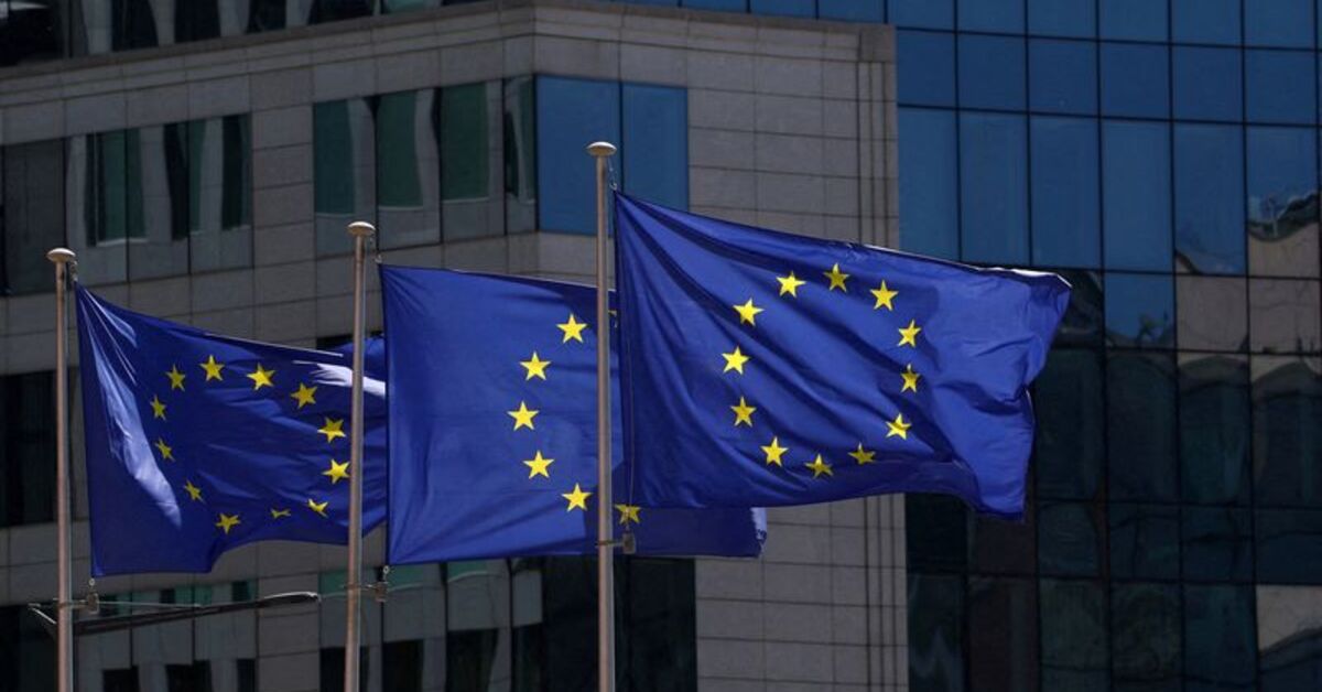 EU's Kallas says Red Sea naval mission needs more than 10 ships