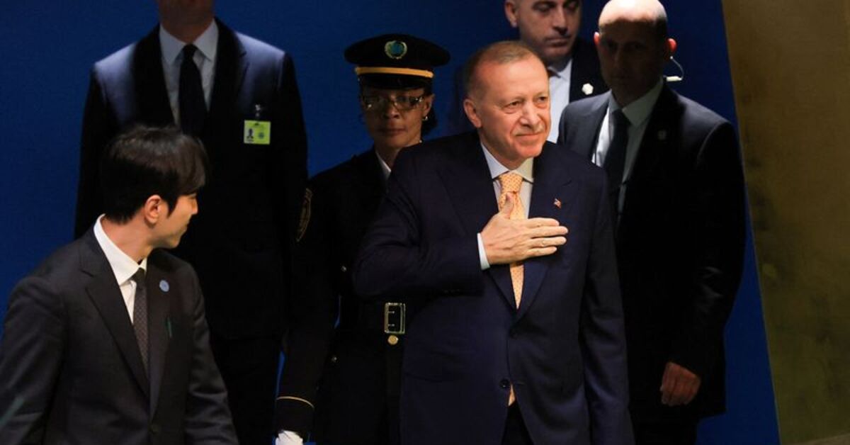 Turkey's Erdogan tells Ukraine's Zelenskiy that Black Sea attacks are inexplicable