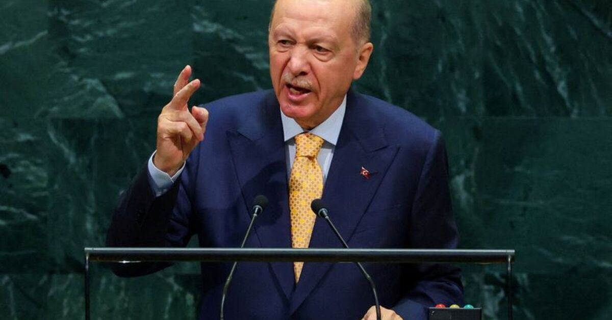 Turkey's Erdogan says equal climate pace unrealistic due to financing gaps