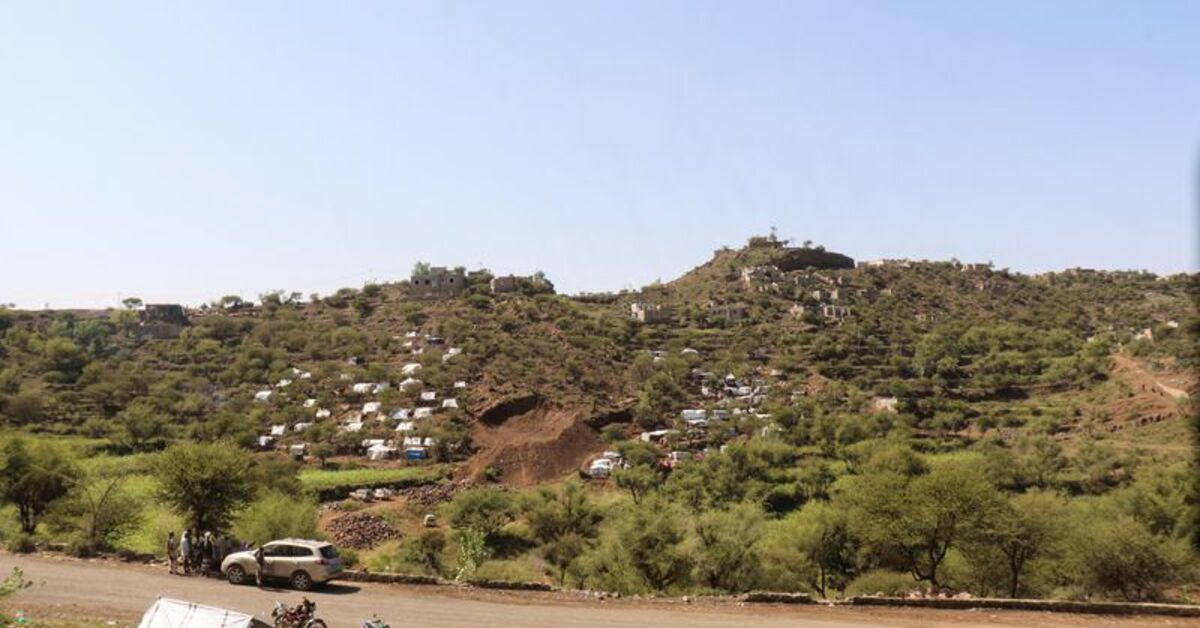 Yemen says government forces repel Houthi push on key Taiz-Aden route
