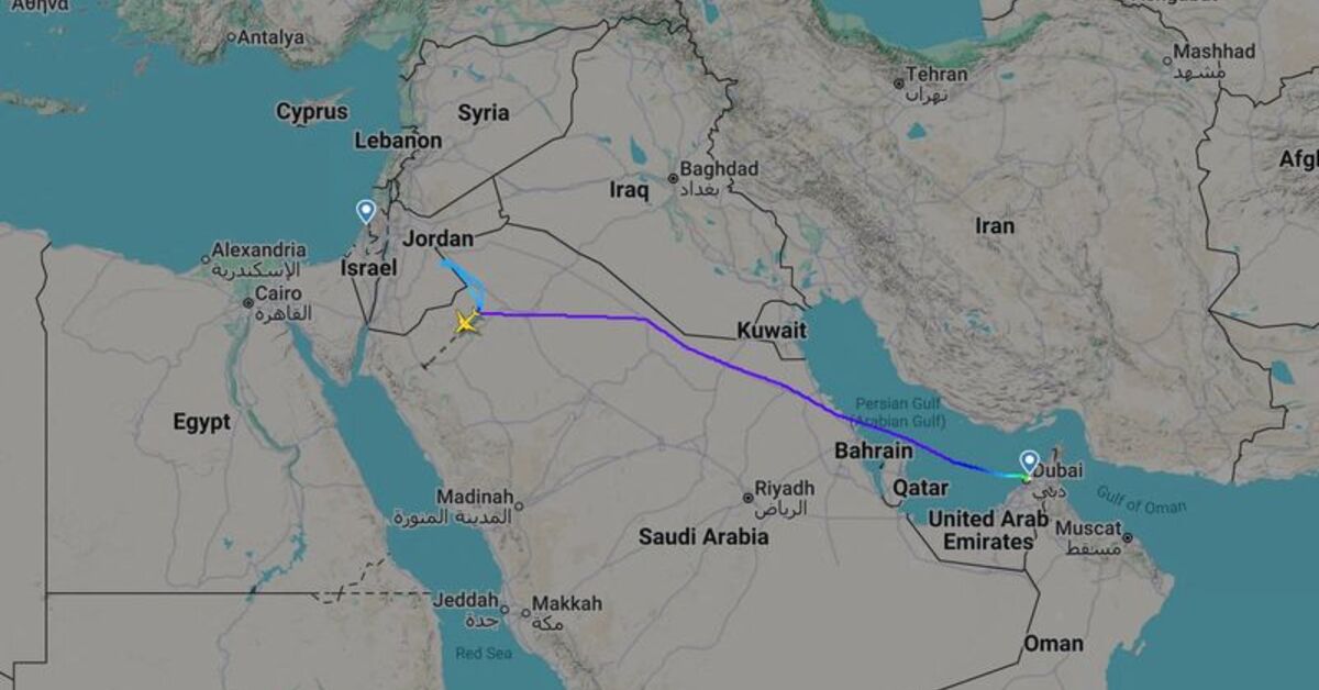 Israel-bound flight diverted to Saudi Arabia after brawl between pilots, Israeli official says