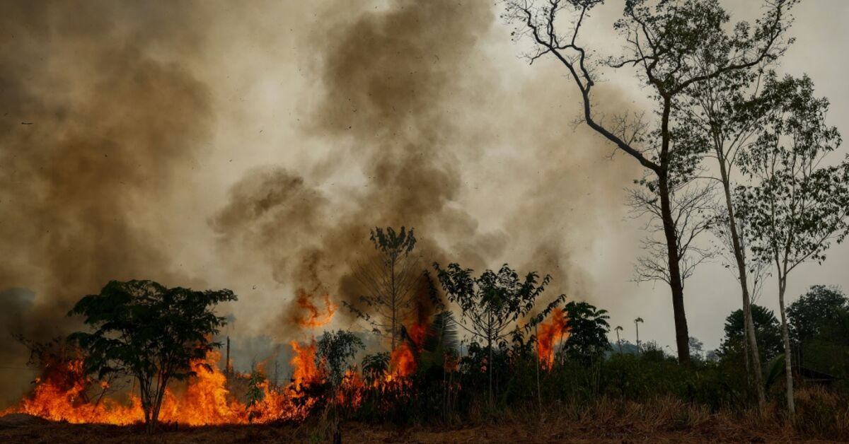 El Niño : des incendies en Indonésie et en Amazonie