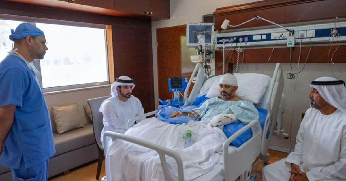 Captain of flydubai plane describes blocking axe blows as co-pilot attacked