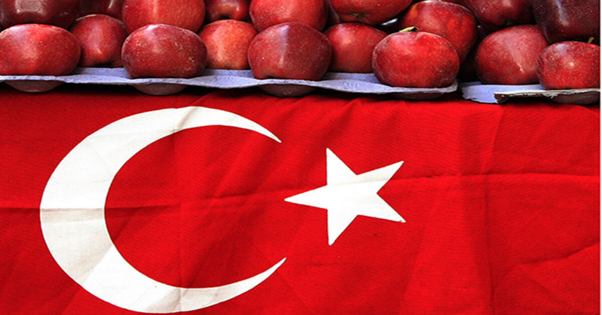 Russian bonanza or ‘Russian roulette’ for Turkey? - AL-Monitor: The ...