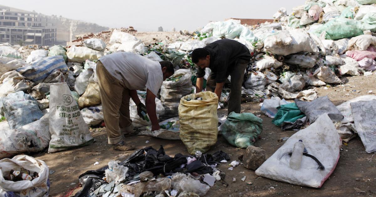 Can new mobile app help solve Egypt's environmental problems? Al