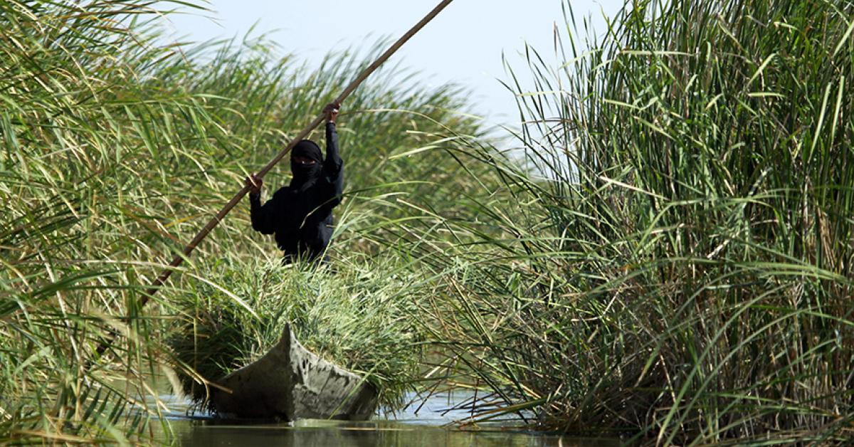 Iraq fears famed marshes could be pulled from World Heritage List -  Al-Monitor: Independent, trusted coverage of the Middle East