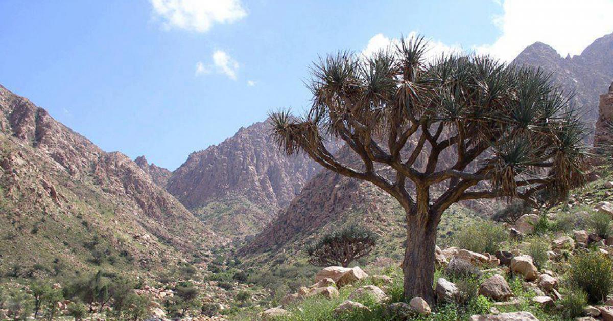 Egypt launches initiative to save nature reserves AlMonitor The