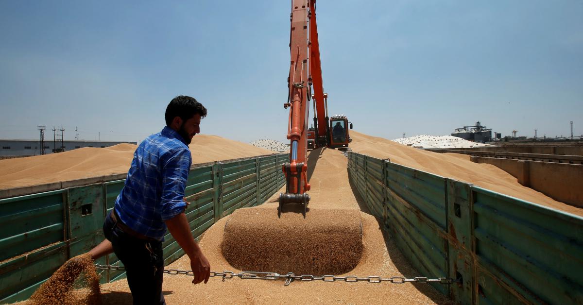 Iraq achieves selfsufficiency in strategic crops AlMonitor The Middle Eastʼs leading