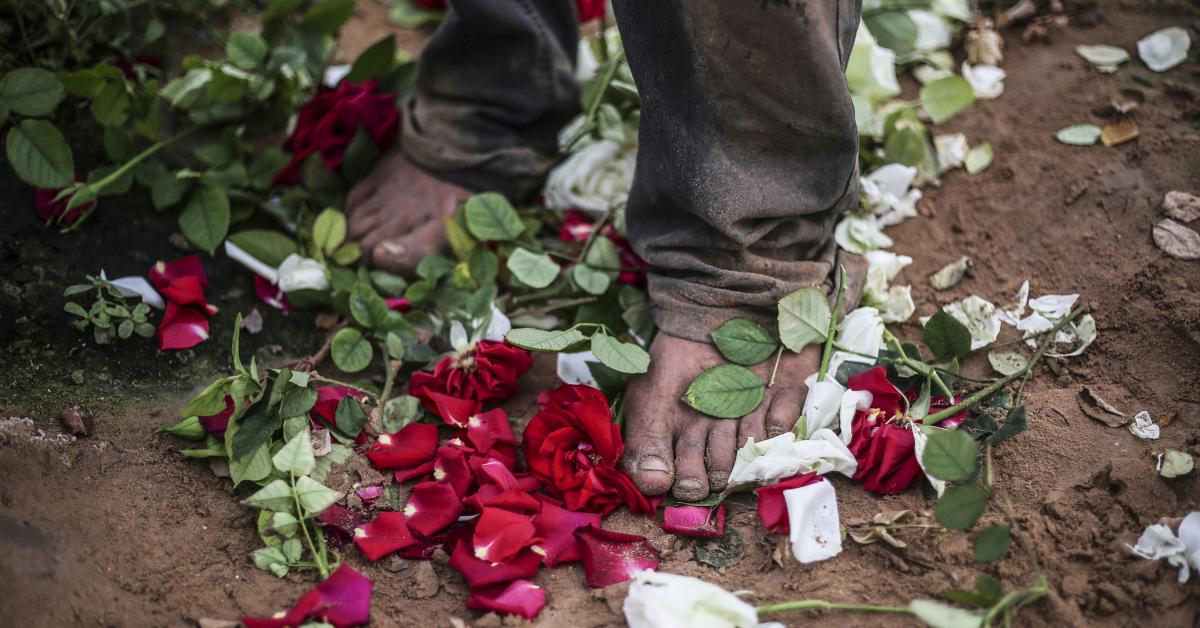 Gaza Farmers Destroyed Flowers Amid Lockdown Al Monitor The Pulse Of The Middle East