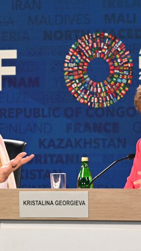 IMF meetings