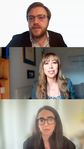 Speakers from Iran war energy event: Samuel Wendel, Dr. Carole Nakhle, and Noam Raydan